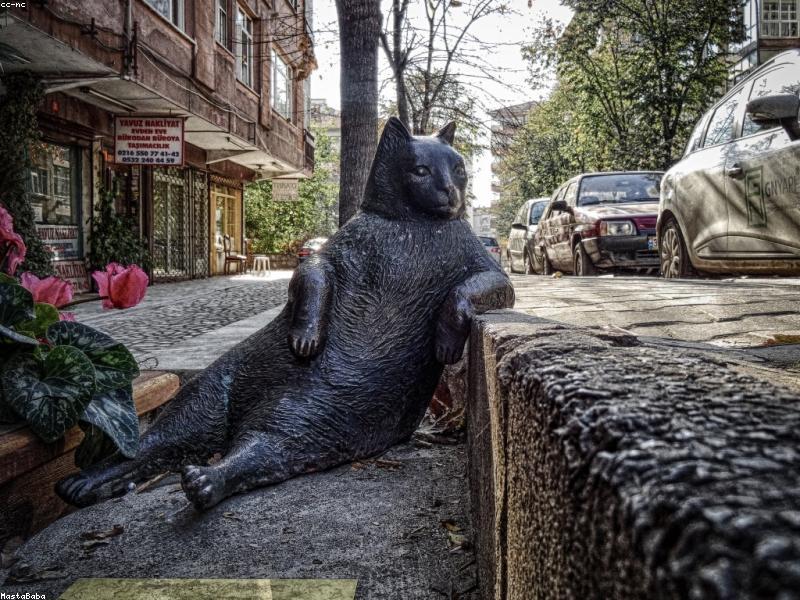 Puzzling World – Wanaka