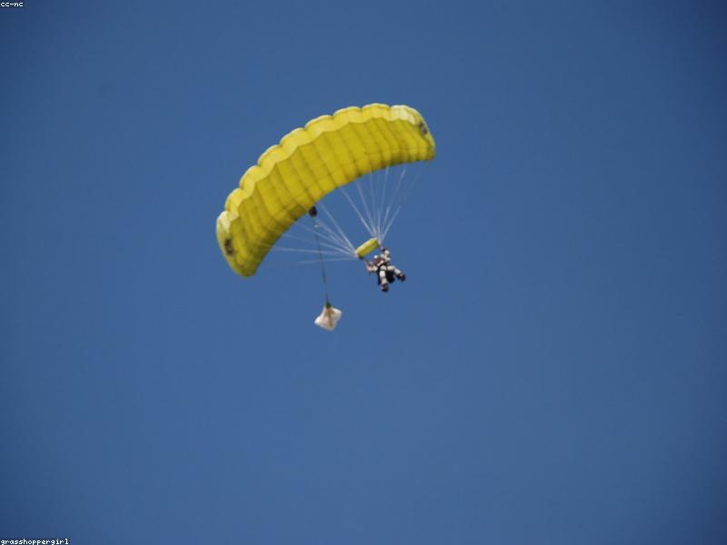 NZONE Skydiving (adults only)