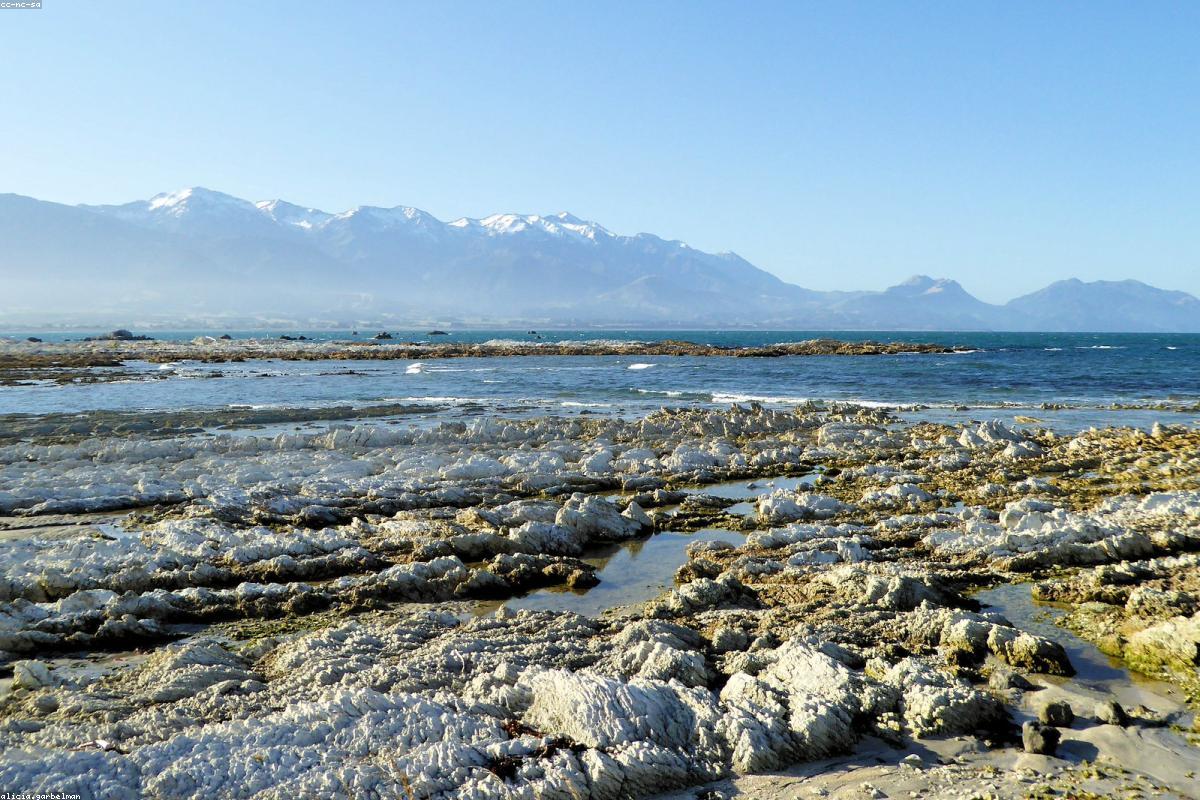 Kaikoura Adventure Day